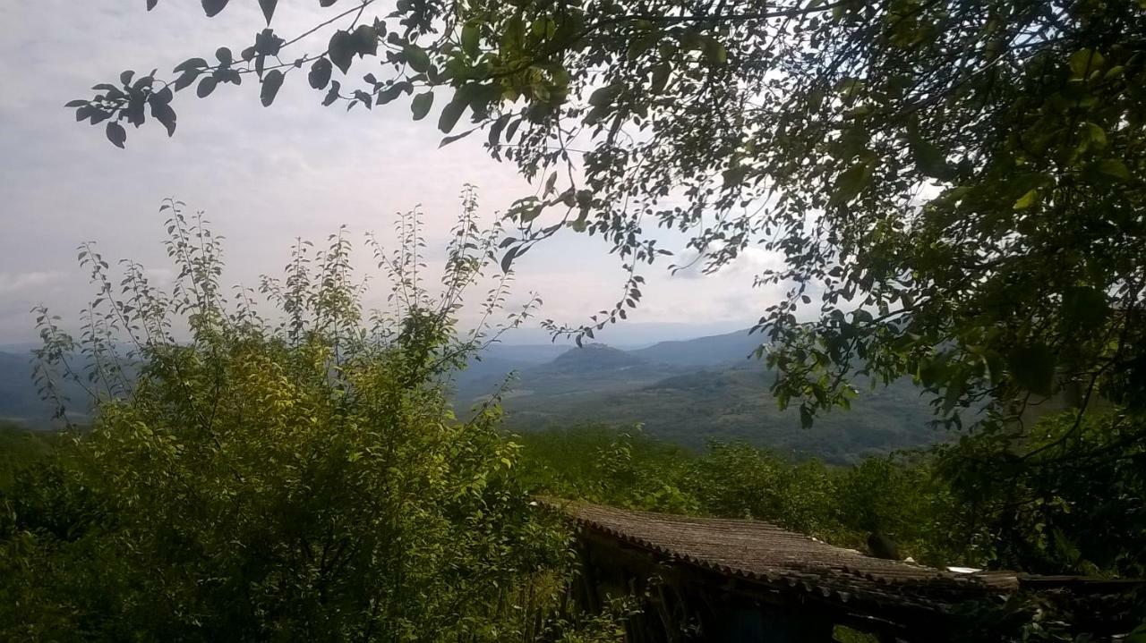 Holiday Home Vižinada المظهر الخارجي الصورة