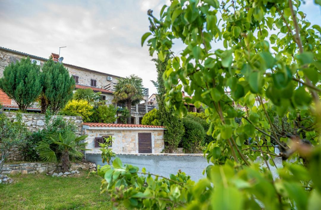 Holiday Home Vižinada المظهر الخارجي الصورة